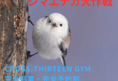 シマエナガ大作戦！たった1冊のメモ帳で－10kgの秘密！